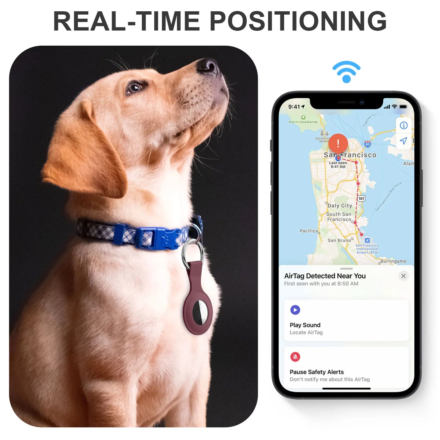 a dog is looking up at a cell phone